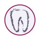 Logo der Zahnarztpraxis Susanne Werner Bergkamen
